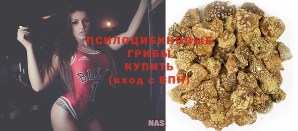 метамфетамин Белокуриха