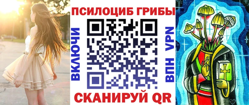 купить наркотик  Великий Устюг  Псилоцибиновые грибы мицелий 